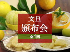 四季の文旦頒布会・定期便
