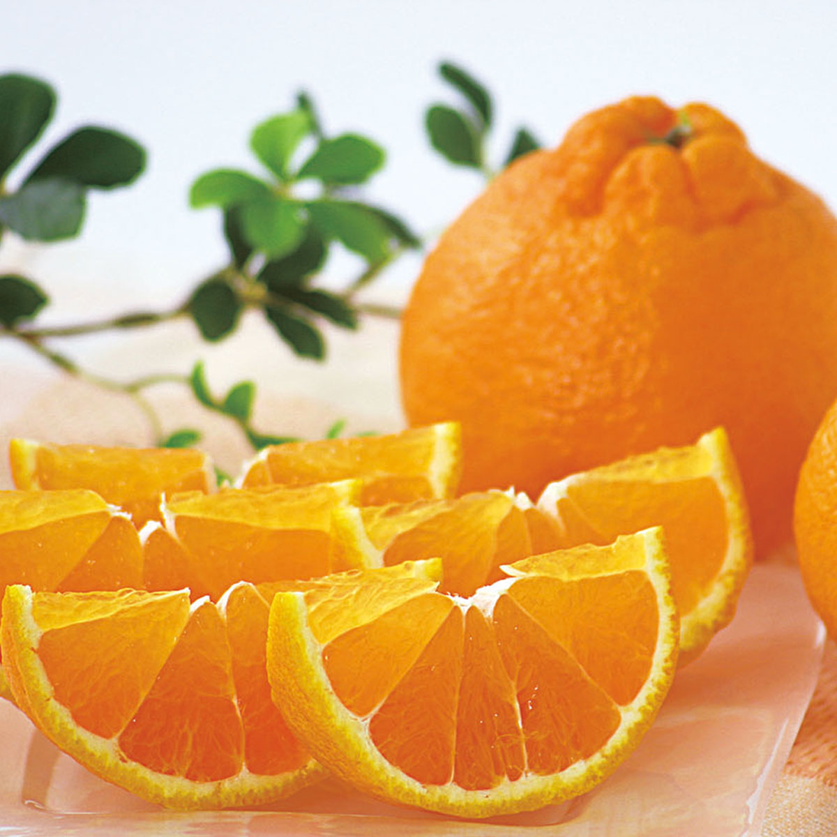 デコポン、不知火、でこぽん