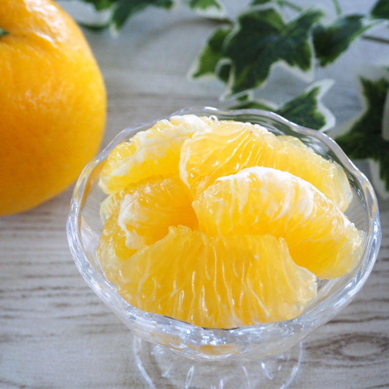 夏ぶんたん・河内晩柑・美生ゴールド・美生柑