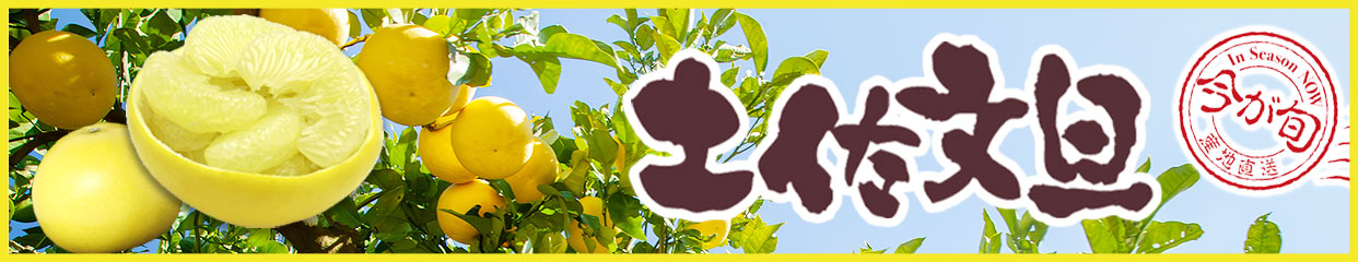 土佐文旦　ぶんたん　分担