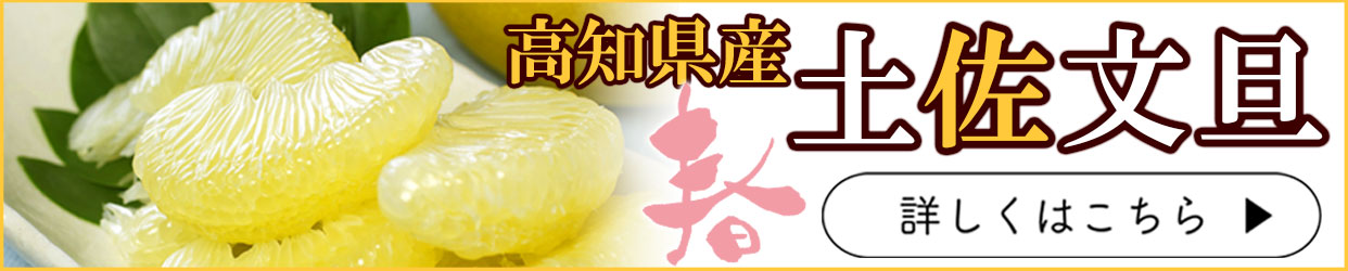 土佐文旦　ぶんたん　分担