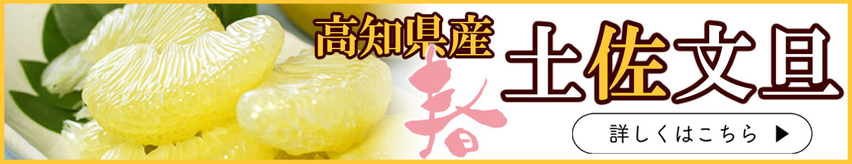 特選秀品秋月梨約4kg7～10玉入り【送料込】 | 白木果樹園