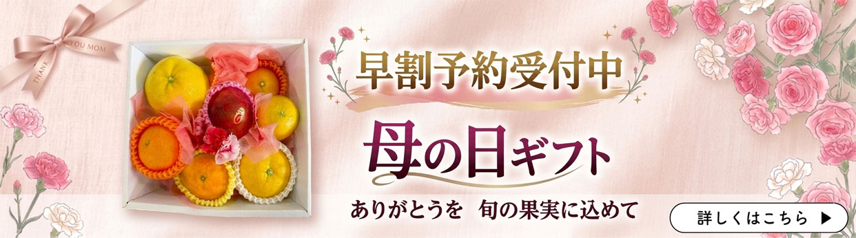 母の日ギフト　柑橘　セット