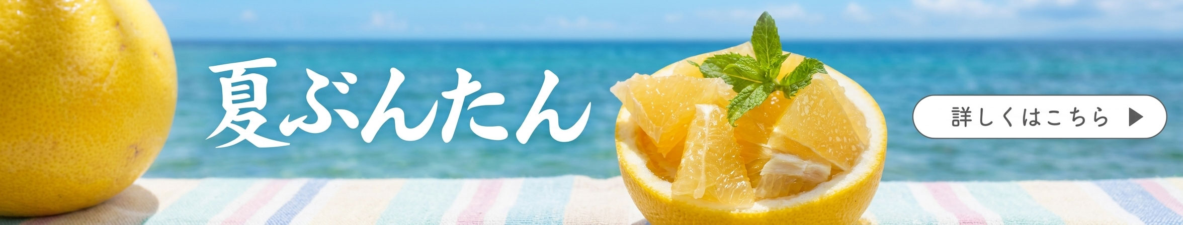 夏ぶんたん　河内晩柑　美生柑　宇和ゴールド