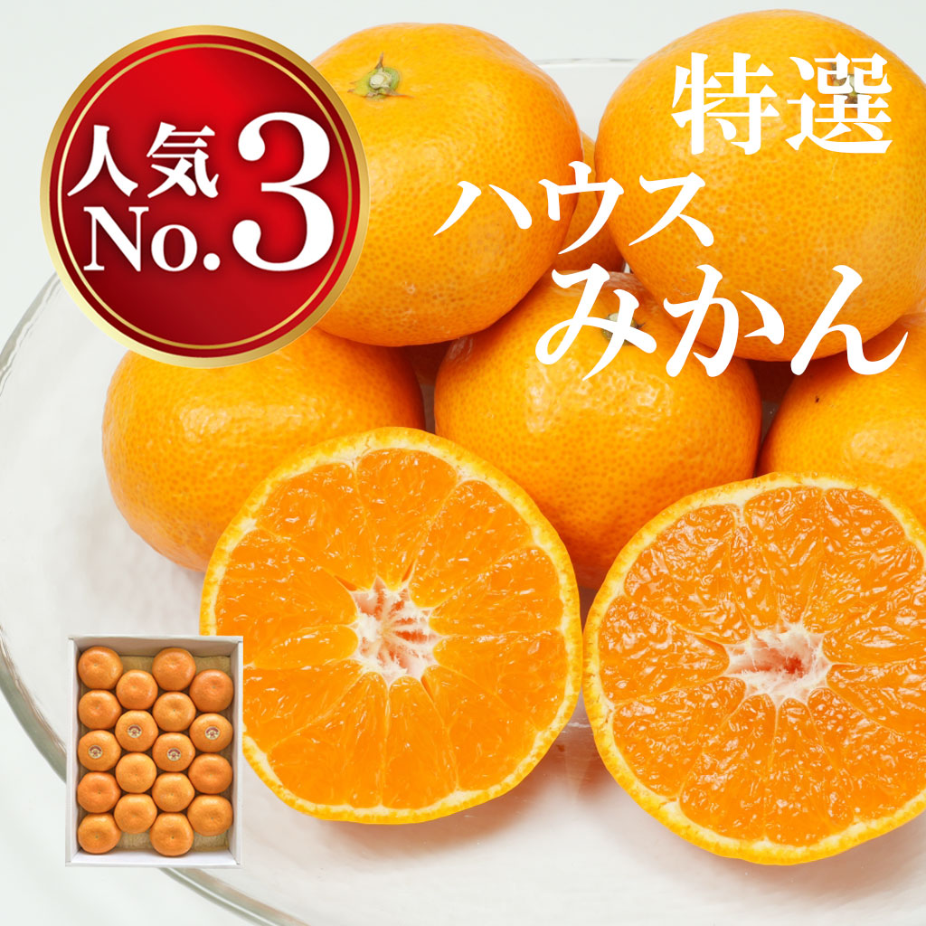 お中元・夏ギフト　ハウスみかん約1kg