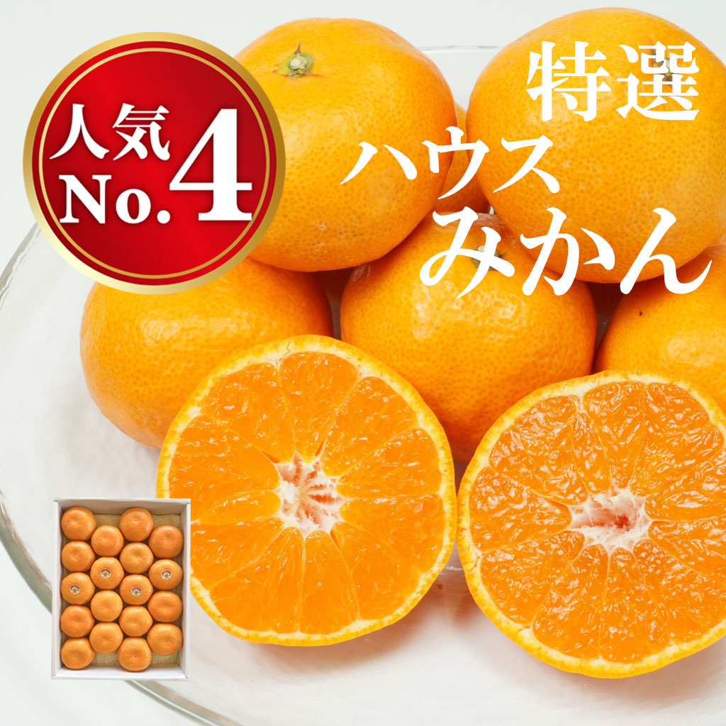 お中元・夏ギフト　ハウスみかん約1kg