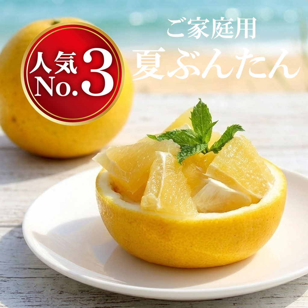 夏ぶんたん　河内晩柑　家庭用