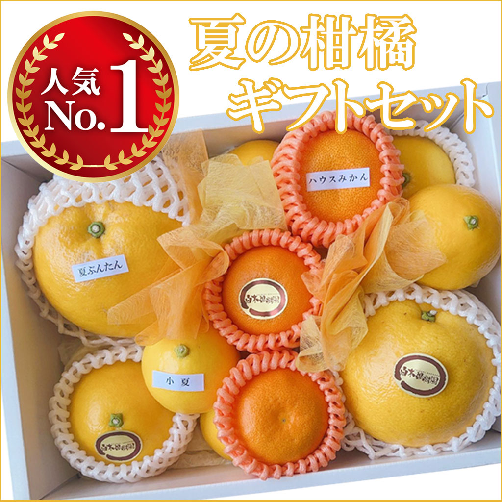 お中元・夏ギフト　夏の柑橘ギフトセット