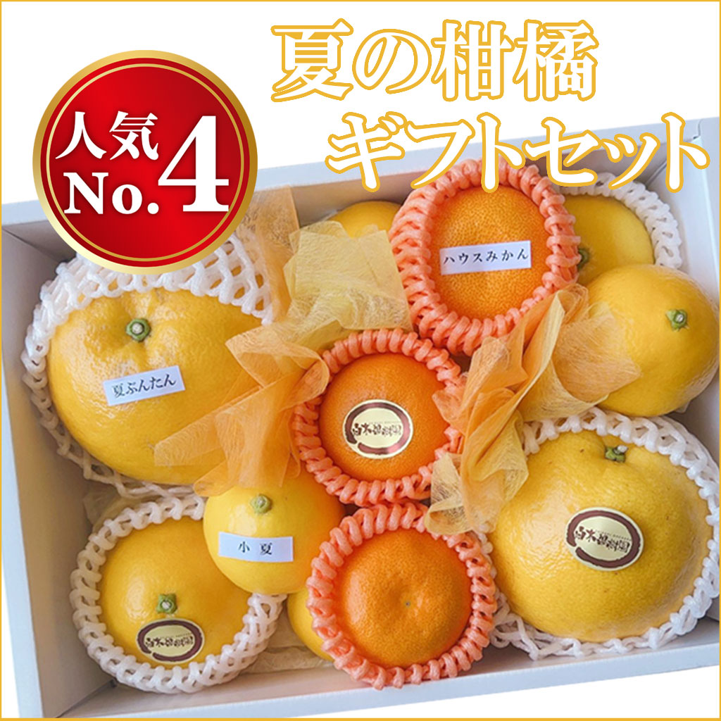 お中元・夏ギフト　夏の柑橘ギフトセット
