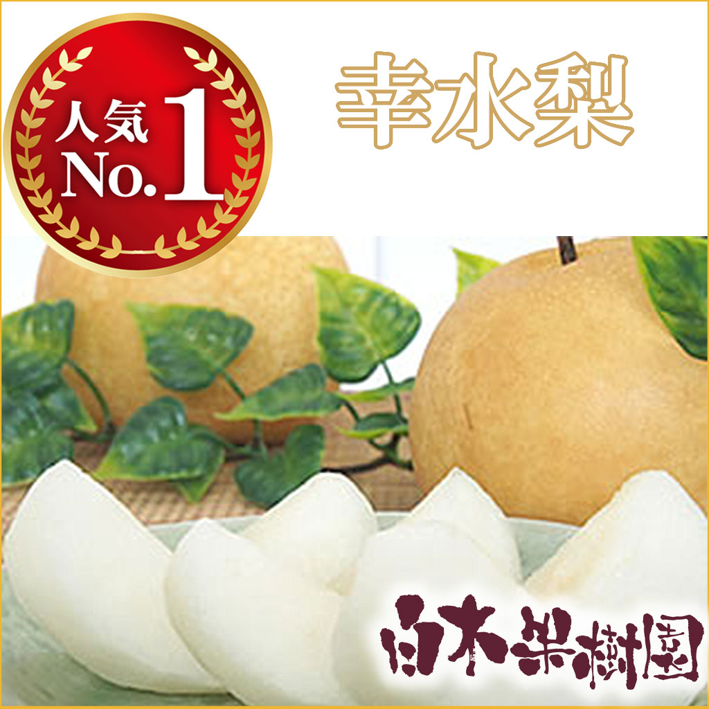 幸水梨　約2kg