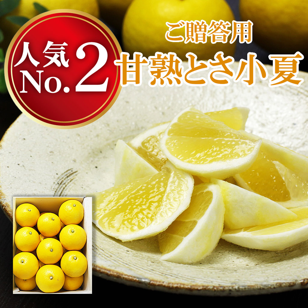 小夏　日向夏　ご贈答用3kg