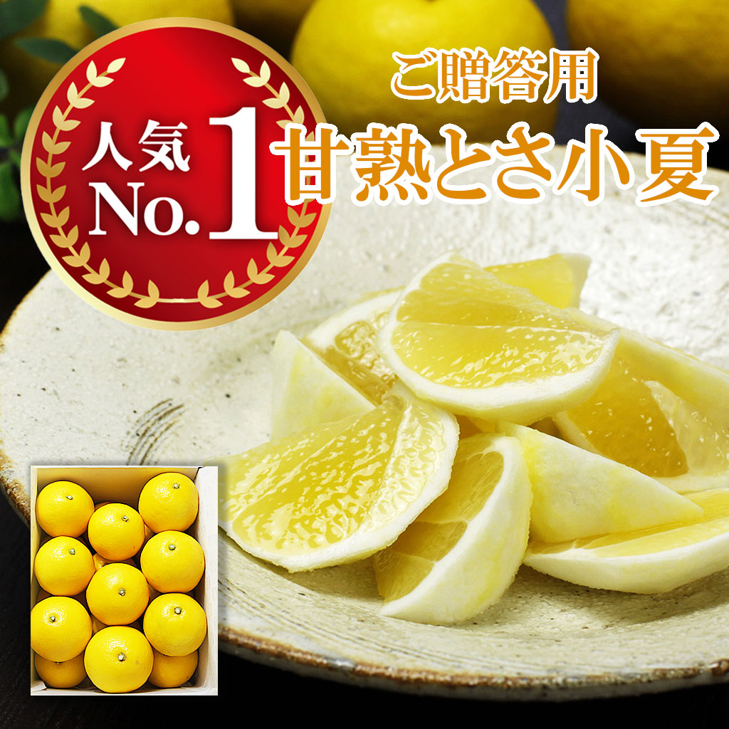 小夏 日向夏 秀品 贈答 3kg