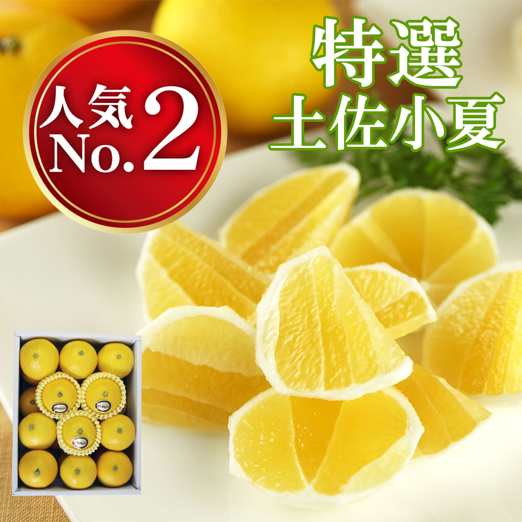 小夏　日向夏　ご贈答用3kg