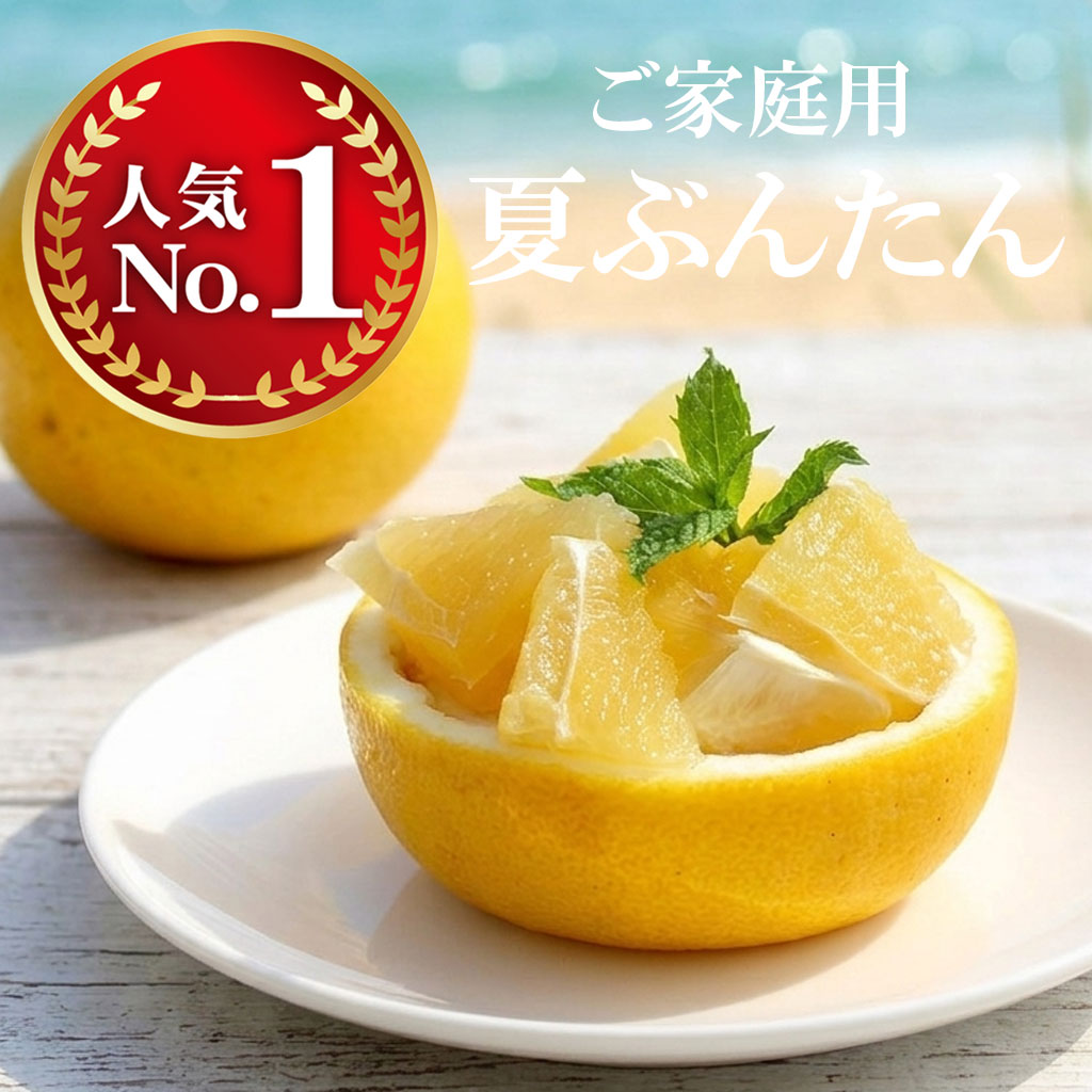 夏ぶんたん　河内晩柑 訳あり家庭用 10kg