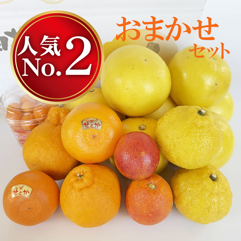 旬のおまかせセット