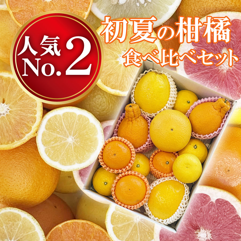 初夏の柑橘食べ比べセット
