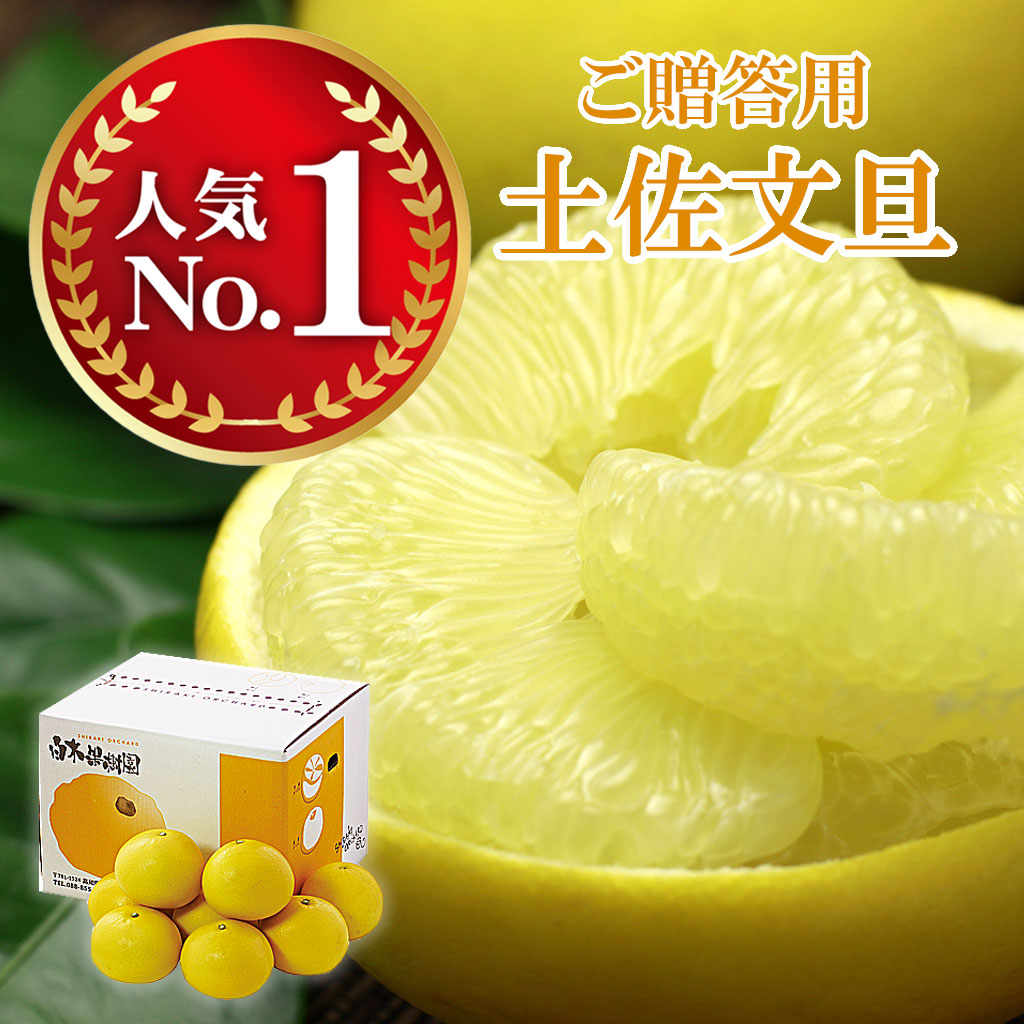 土佐文旦 贈答用 秀品 約10kg