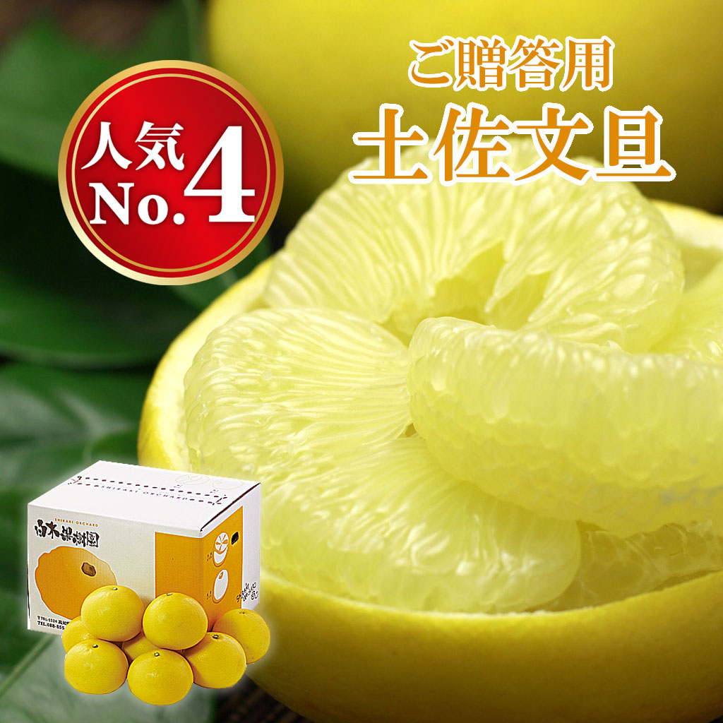 土佐文旦 贈答用 秀品 約10kg