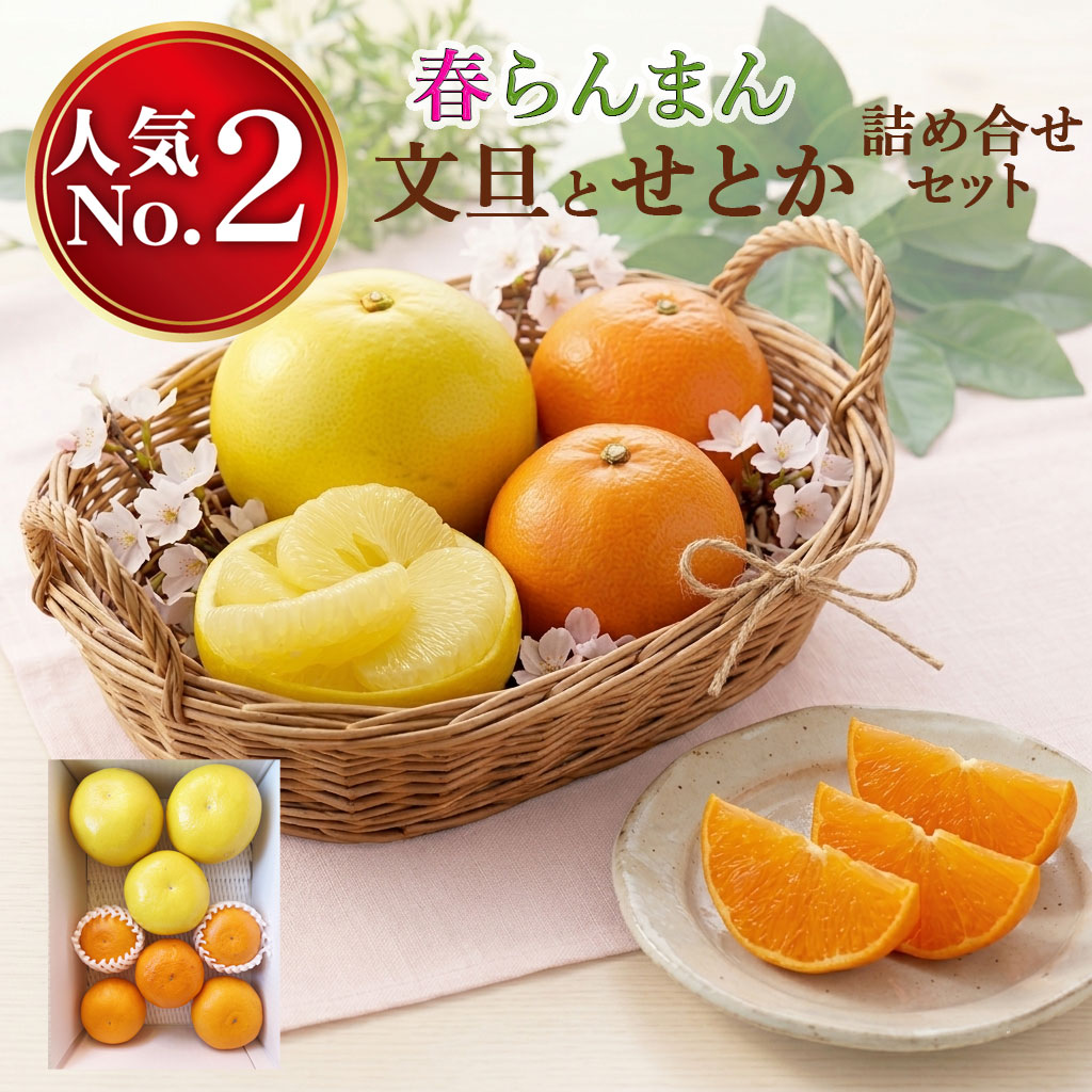 土佐文旦とせとかのセット
