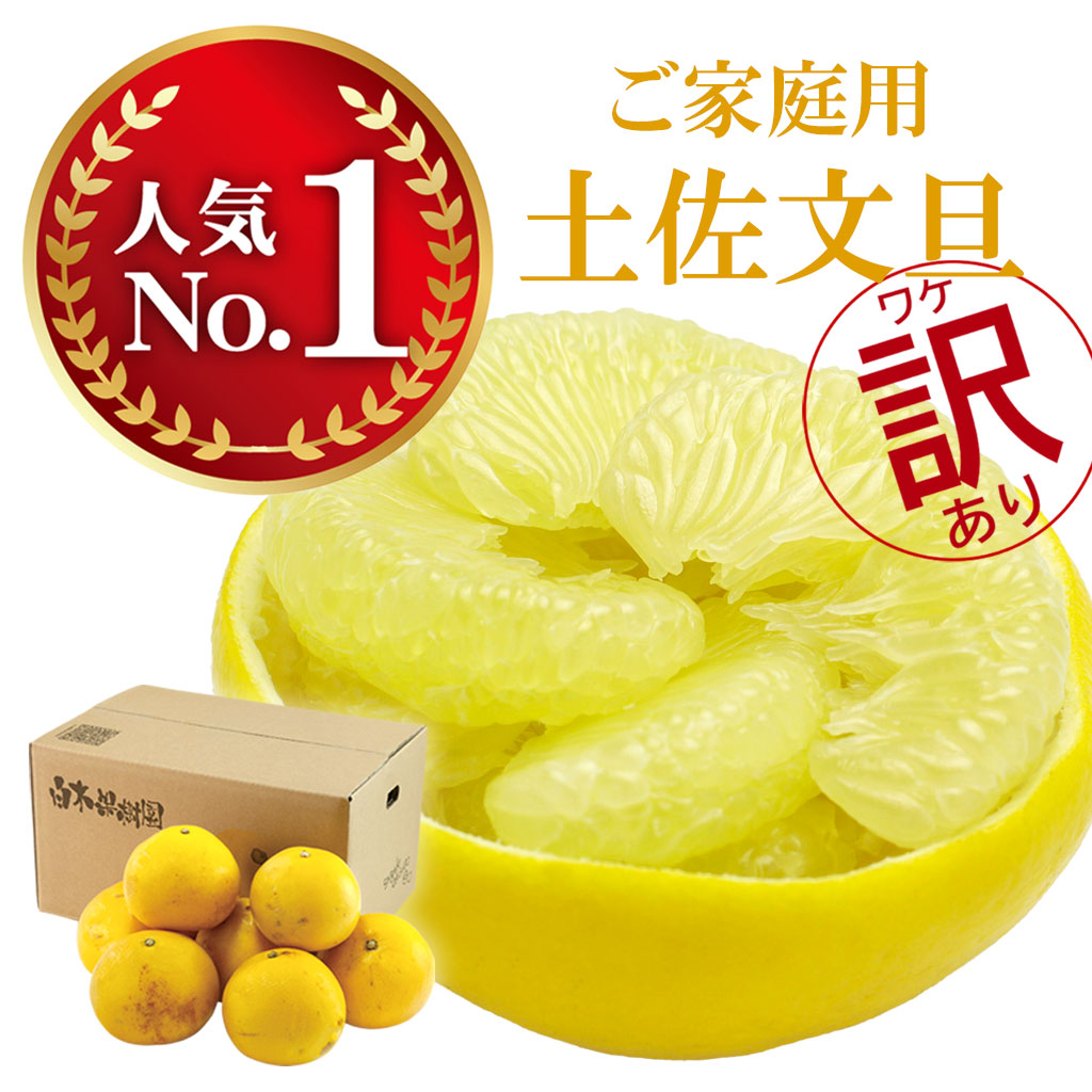 土佐文旦 家庭用 B級品 5kg