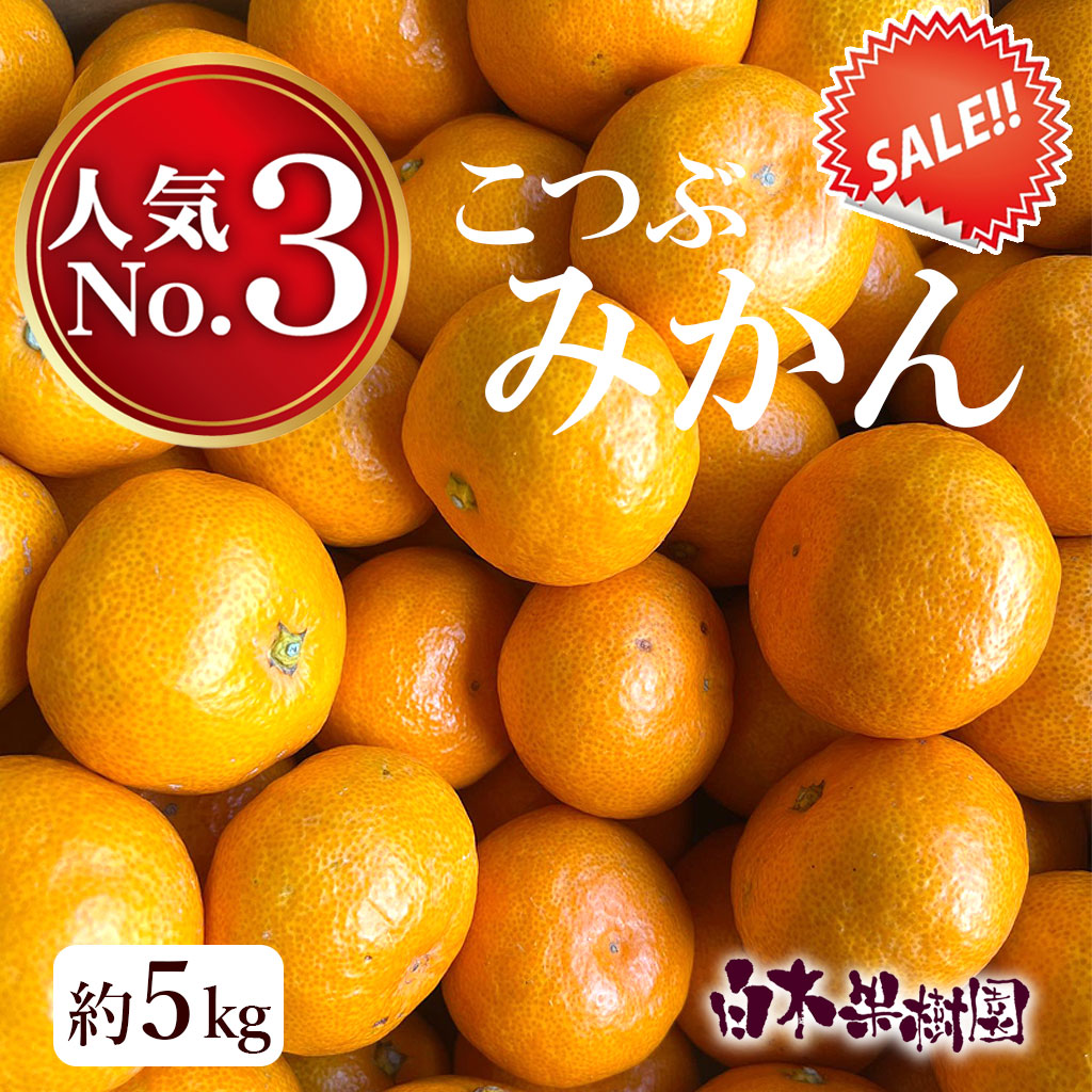 わけありみかんこつぶ　約5kg