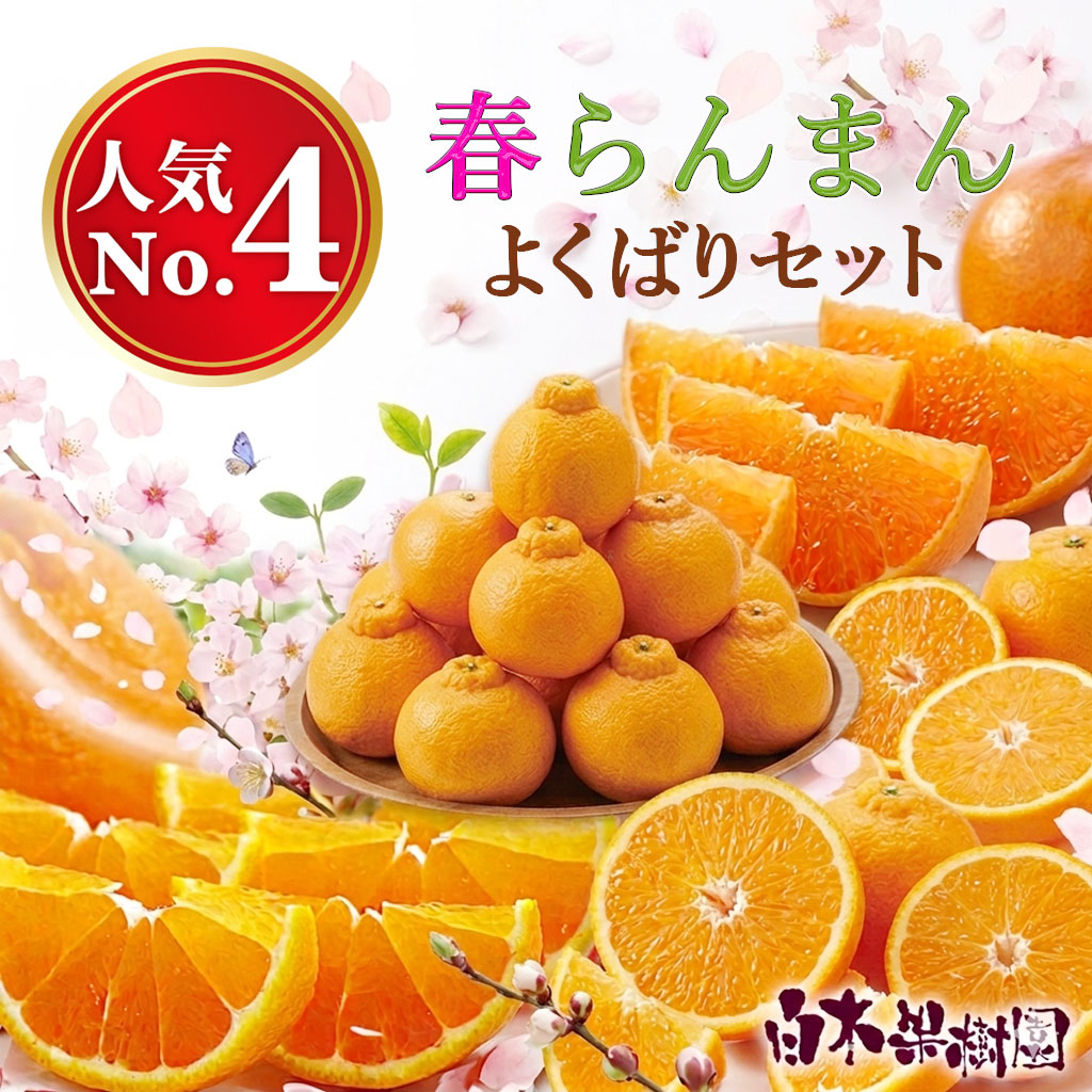 よくばりセット