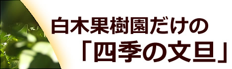 白木果樹園だけの「四季の文旦」