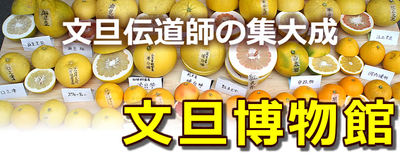 園主・白木の集大成　文旦博物館