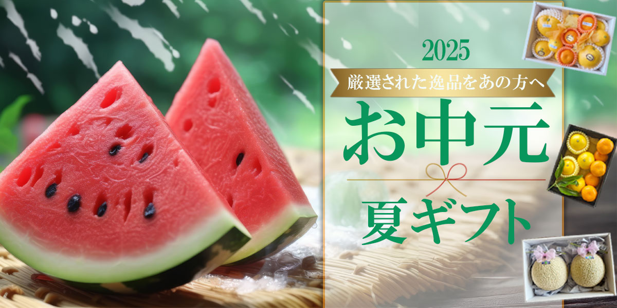 お中元　夏ギフト　お供え
