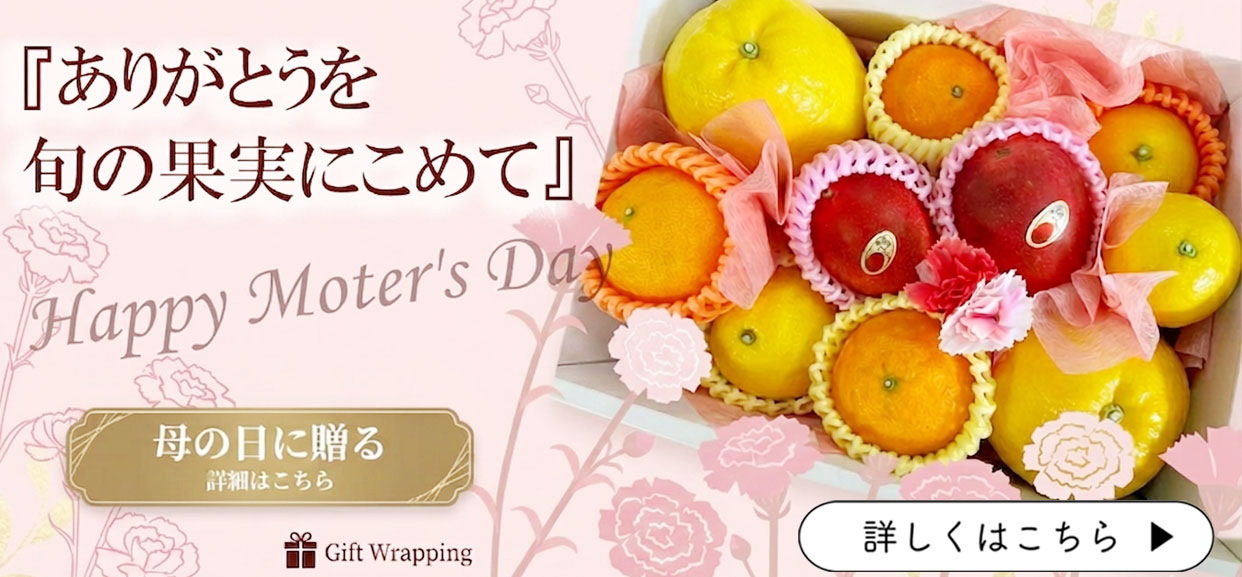 母の日ギフト　柑橘　セット