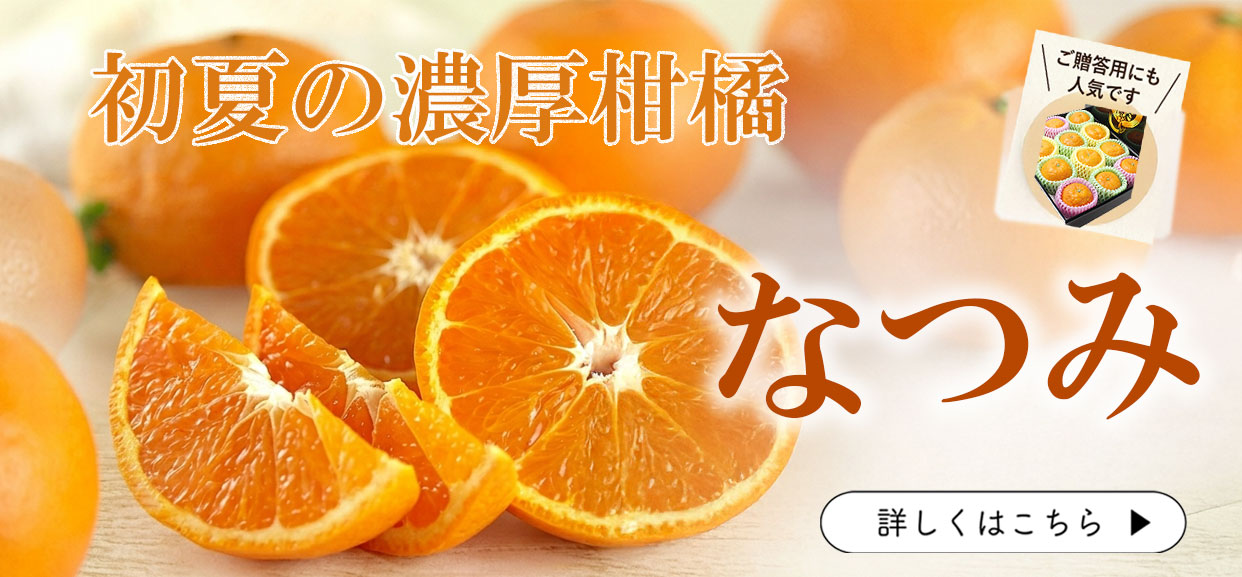 初夏の濃厚柑橘