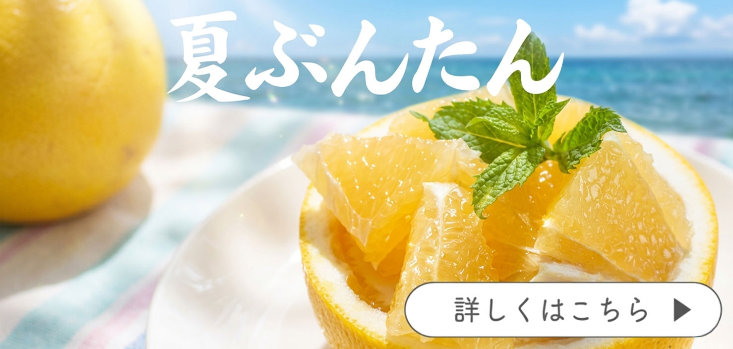 夏ぶんたん　河内晩柑　美生柑　宇和ゴールド
