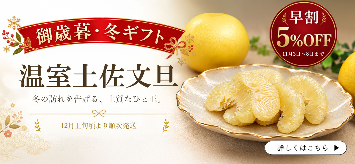 温室土佐文旦　冬のぶんたん　お歳暮　冬ギフト　