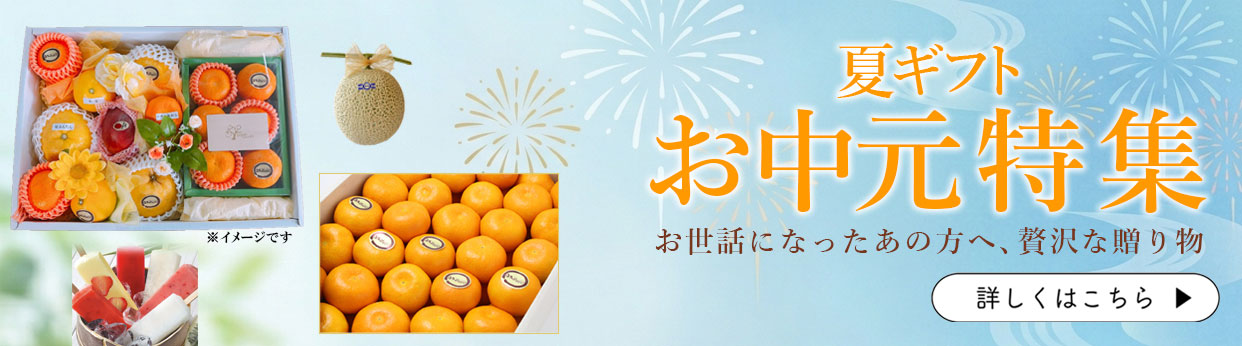 お中元　夏ギフト　お供え