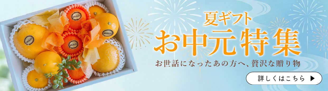 お中元　夏ギフト　お供え