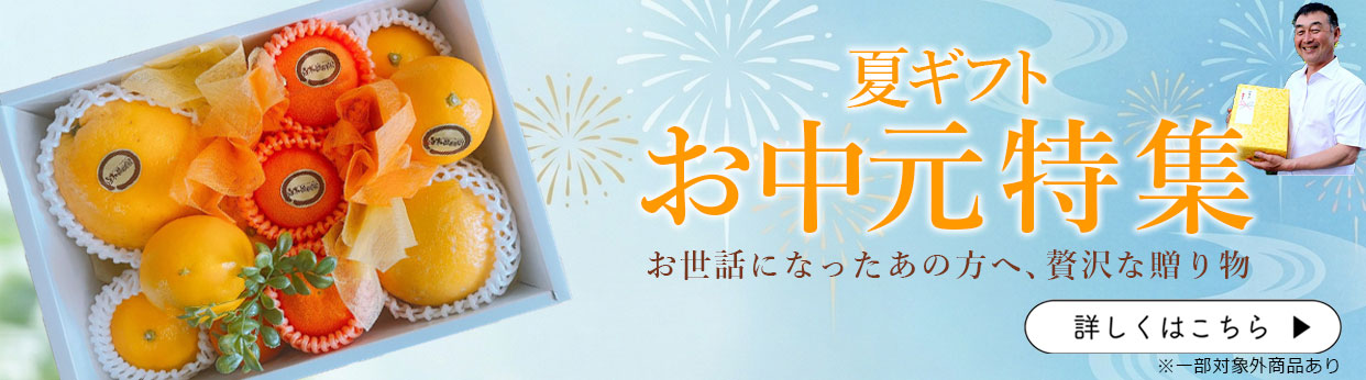 お中元　夏ギフト　お供え