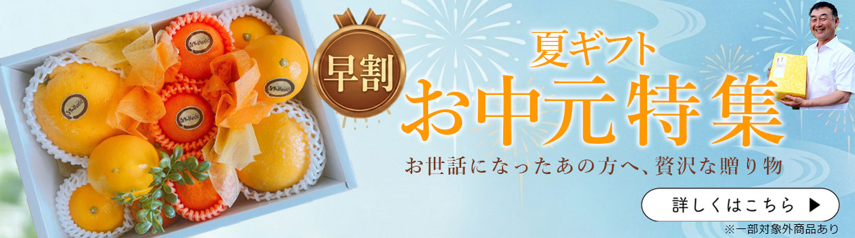 お中元　夏ギフト　お供え