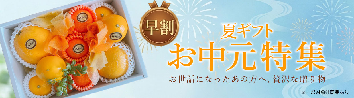 夏ギフト　お中元　2026年