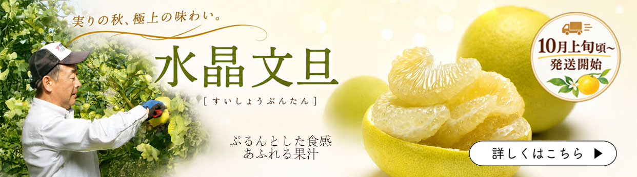 水晶文旦　秋のぶんたん