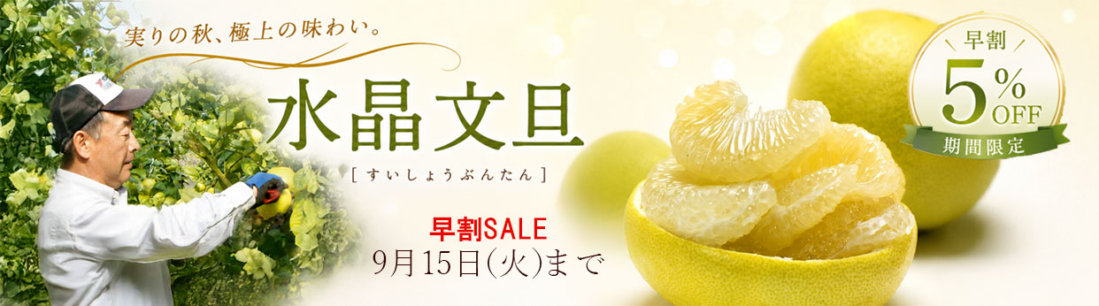 水晶文旦　白い文旦　早割SALE