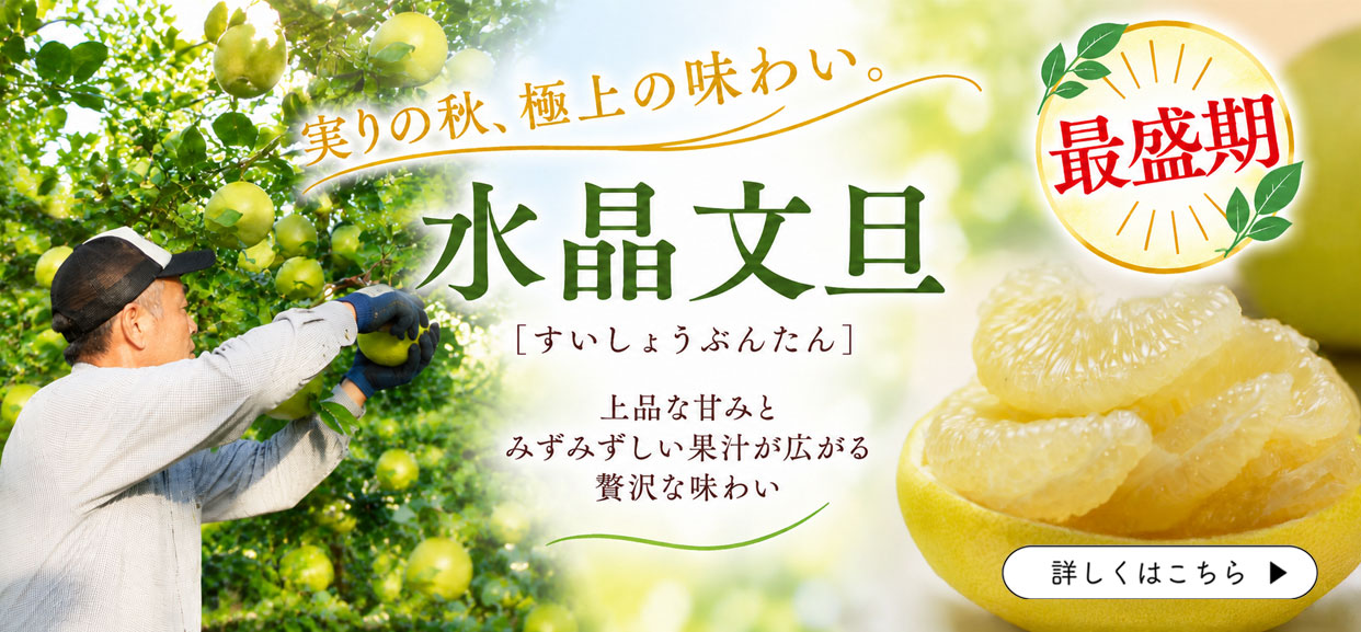 水晶文旦　秋のぶんたん