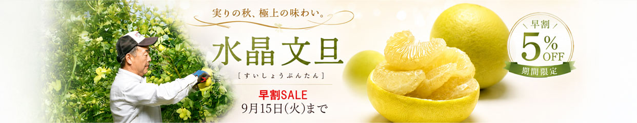 水晶文旦　白い文旦　早割SALE