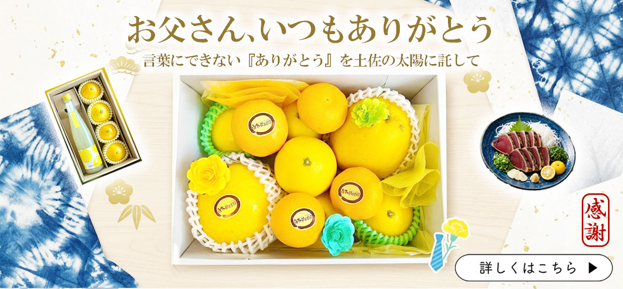 父の日ギフト　父の日　