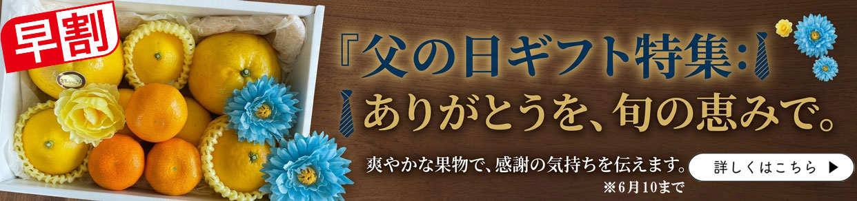 父の日ギフト　父の日　