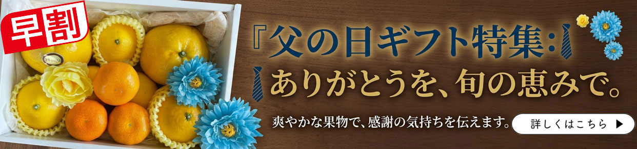 父の日ギフト　父の日　