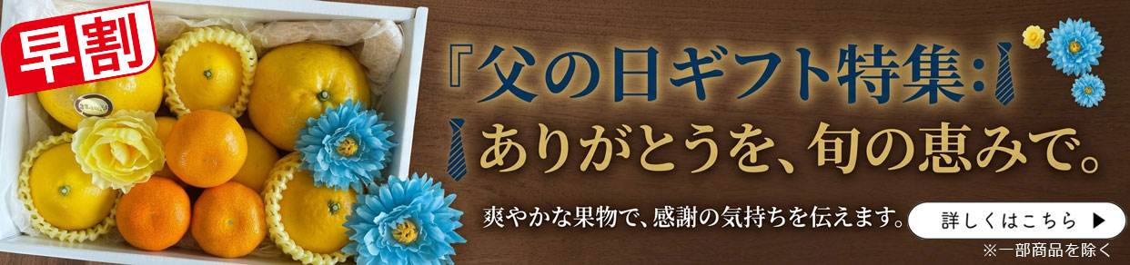 父の日ギフト　父の日　
