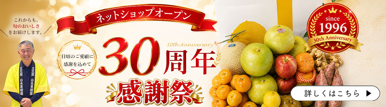ネットショップ30周年