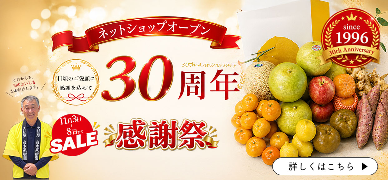 ネットショップ30周年