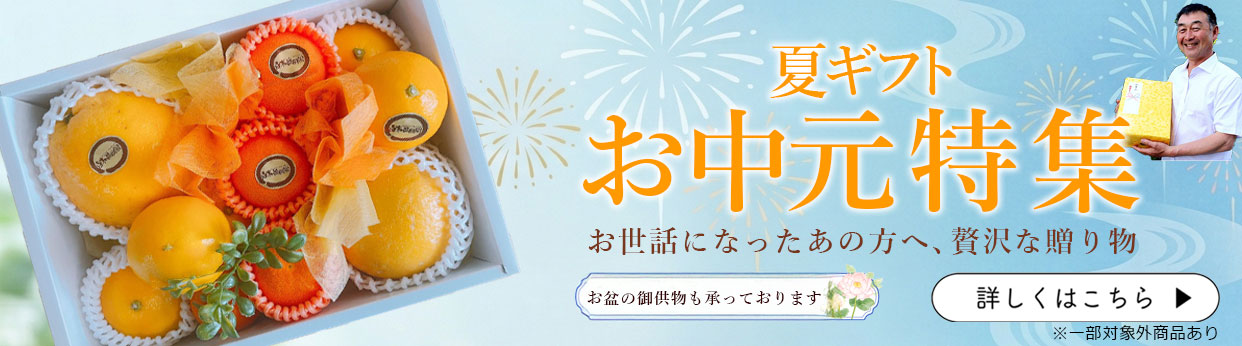 お中元　夏ギフト　お供え