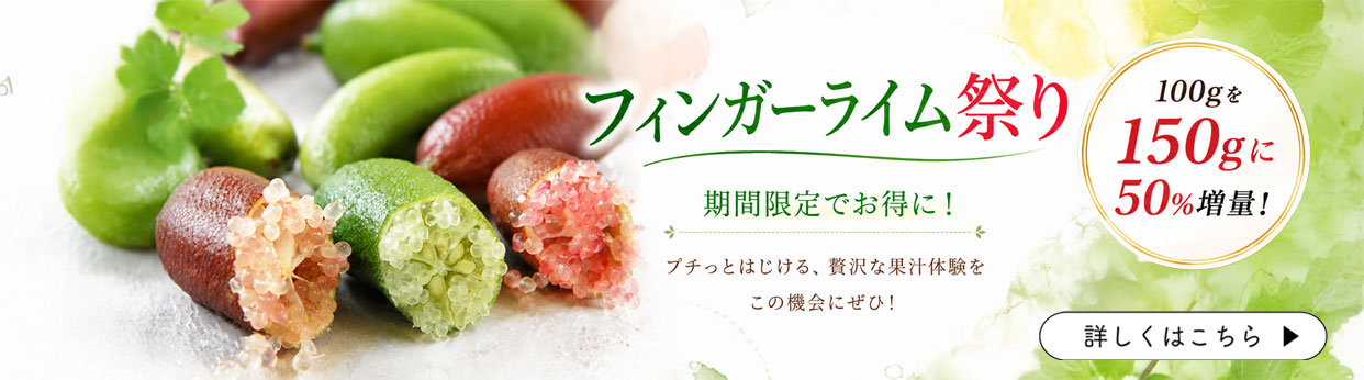 フルーツキャビア　フィンガーライム　国産